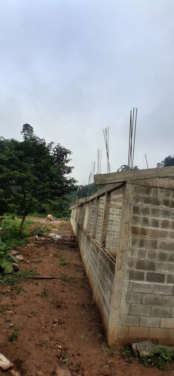 Avance de obra del 09/01/2026
